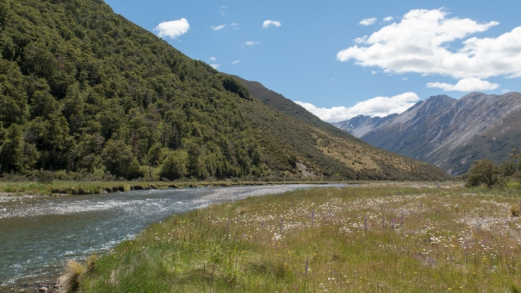 Photo 4 of Adventure Bike Camping in New Zealand