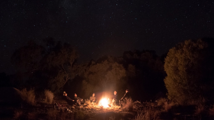 Photo 7 of Adventure Bike Camping in New Zealand